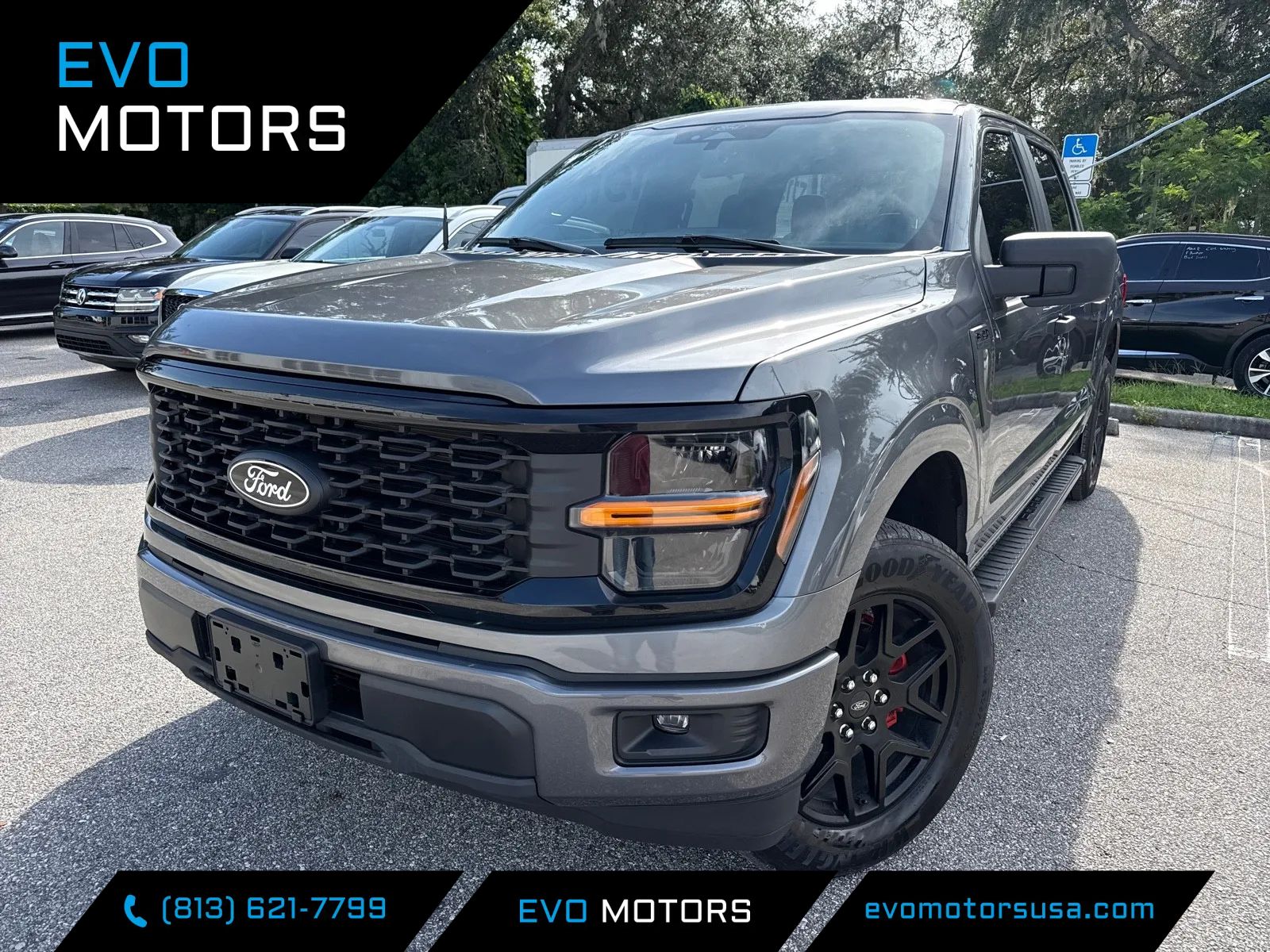 Gray 2025 Ford F-150 Pickup Truck 4X2 Automatic