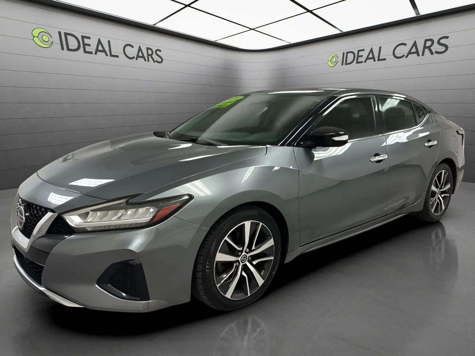 Gray 2019 Nissan Maxima Sedan Front-Wheel Drive Automatic